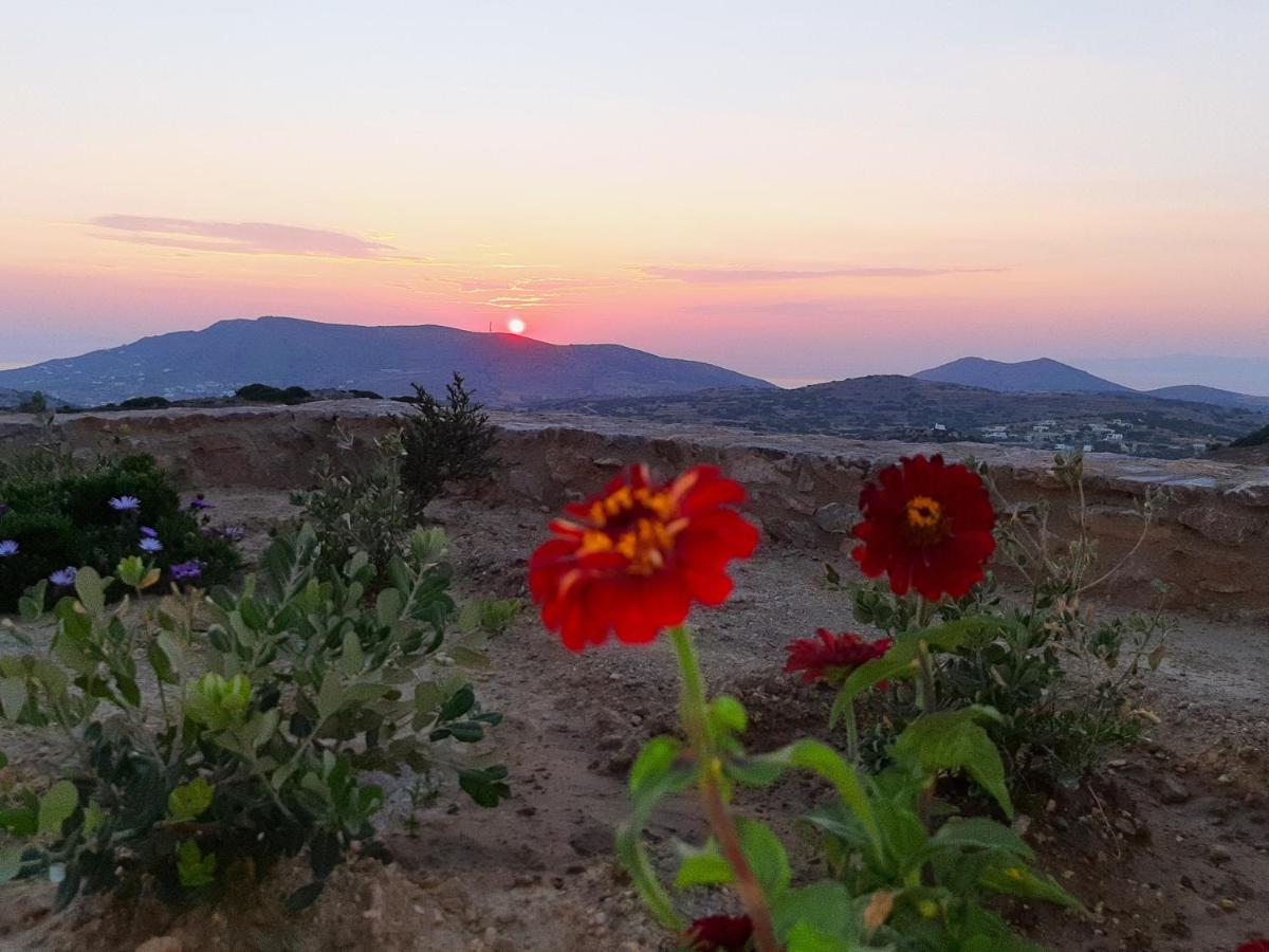 Villa Adeiata Adiata Kültér fotó