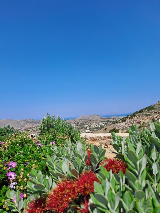 Villa Adeiata Adiata Kültér fotó